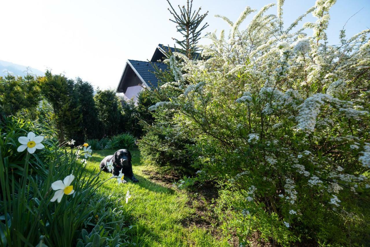 Guest House Pr' Cut Жировница Экстерьер фото